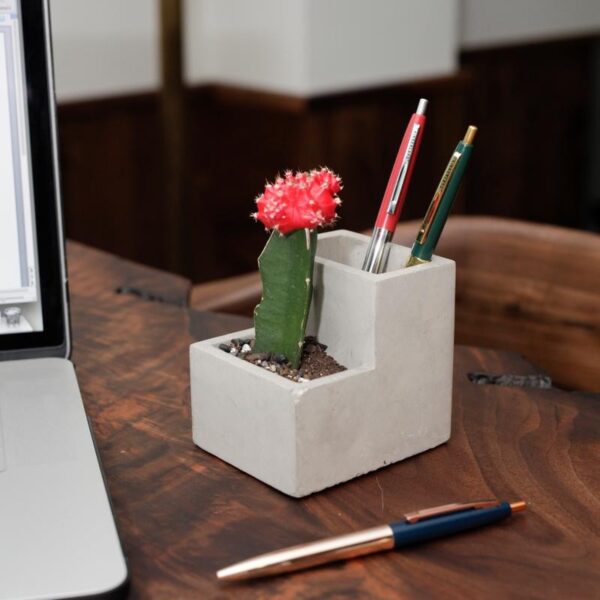 concrete pen holder with cactus planted