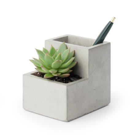 concrete pen holder with succulent planted