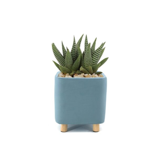 Ceramic blue desk planter, small with succulent