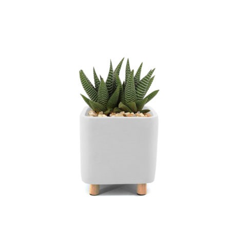 Ceramic white desk planter, small with succulent